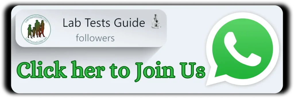 Join Us on Whatsapp